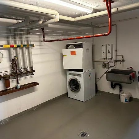 Leonorus شقة Goms